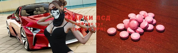 дмт Алзамай