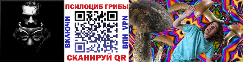 Галлюциногенные грибы GOLDEN TEACHER Купить Сортавала